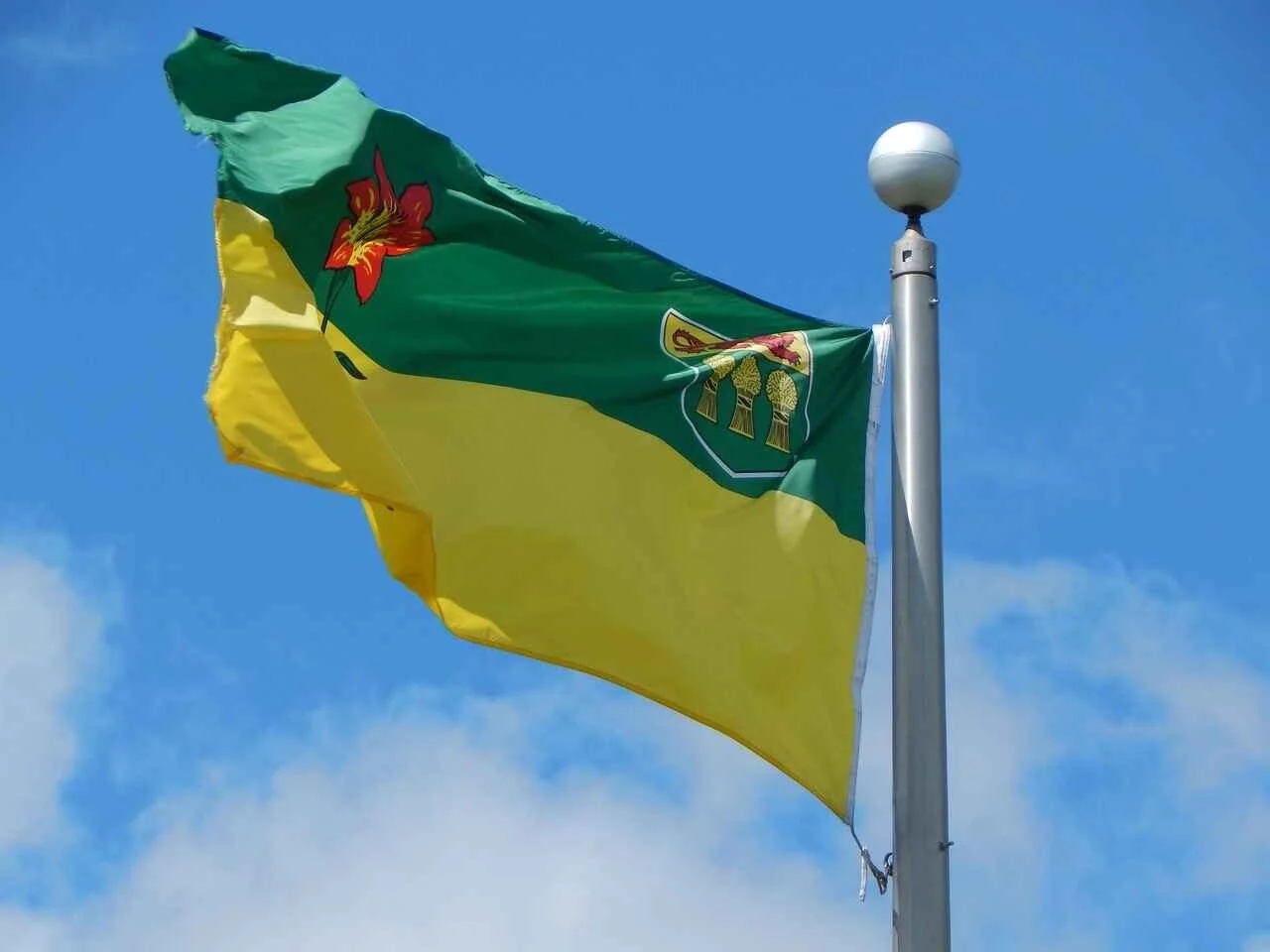 Saskatchewan Designated Learning Institutions (DLIs) Offering PGWP-Eligible Programs